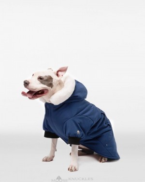 Women Moose Knuckles Pooch Parka Pet Cobalt Blue / White Faux Fur | WP8725106