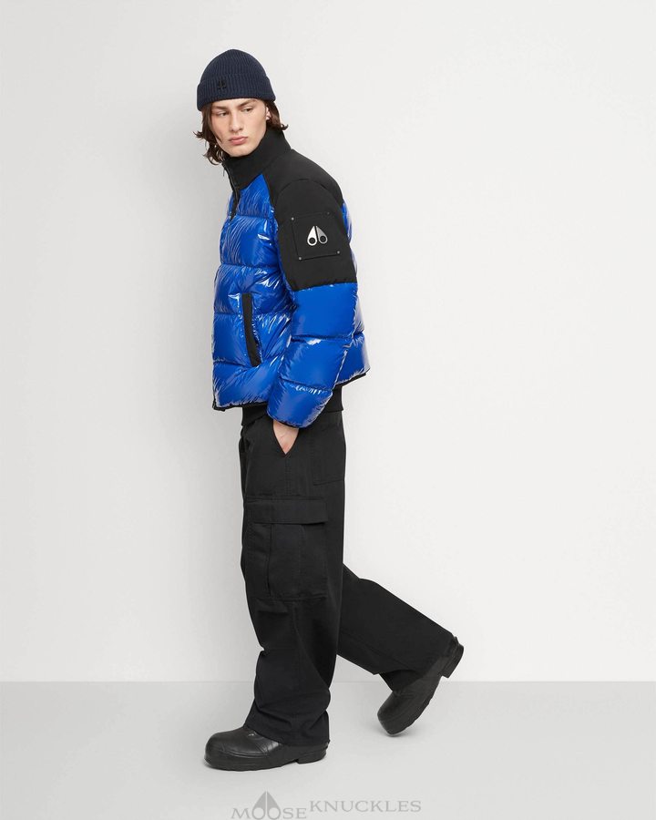 Men Moose Knuckles Dugald Puffer Jackets Cobalt / Black | IW0378194