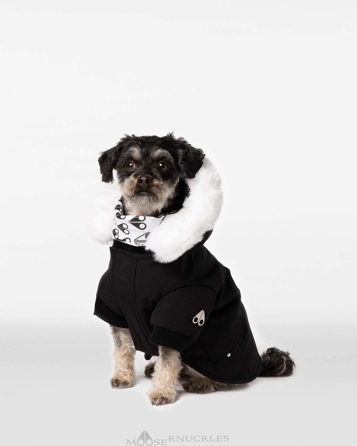 Men Moose Knuckles Pooch Parka Pet Black / White Faux Fur | TG1624895