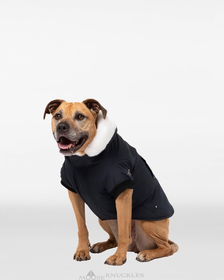 Men Moose Knuckles Pooch Parka Pet Black / White Faux Fur | TG1624895